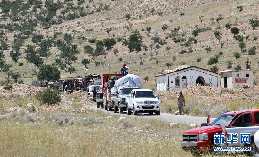 (國際·圖文互動(dòng))(5)歸鄉(xiāng),不再流浪——記敘利亞難民返鄉(xiāng)