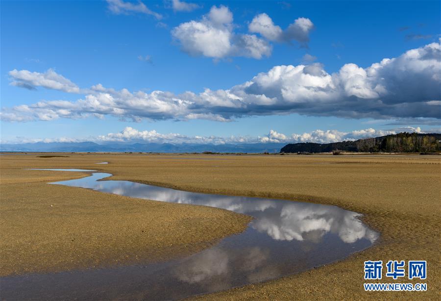 （國際）（2）新西蘭阿貝爾&middot;塔斯曼國家公園風光