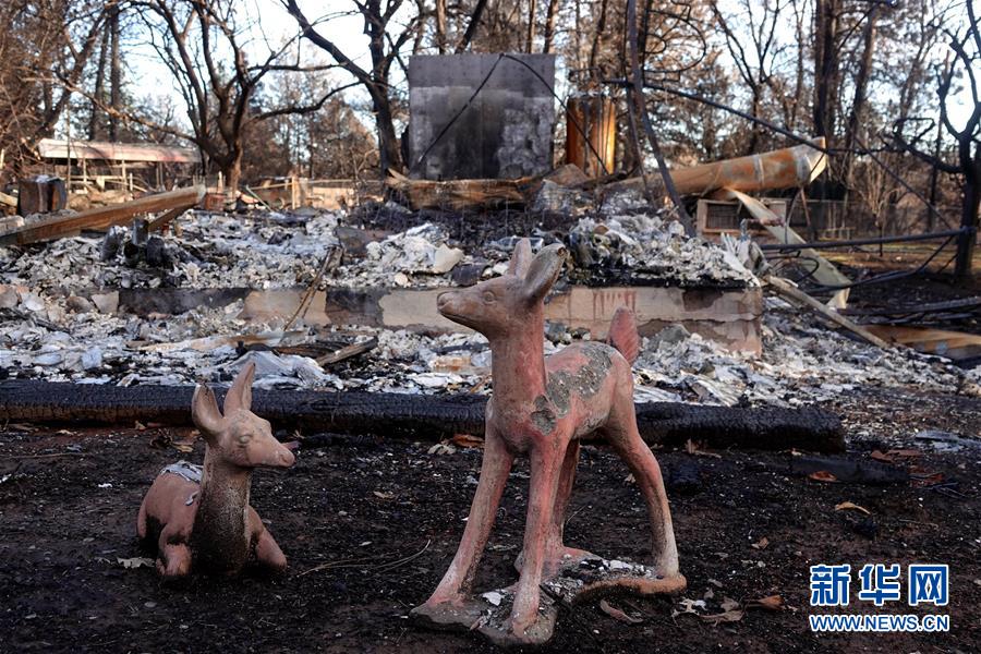 （國際&middot;圖文互動）（6）一場山火，讓這個冬天格外冷&mdash;&mdash;探訪美國加州山火災區