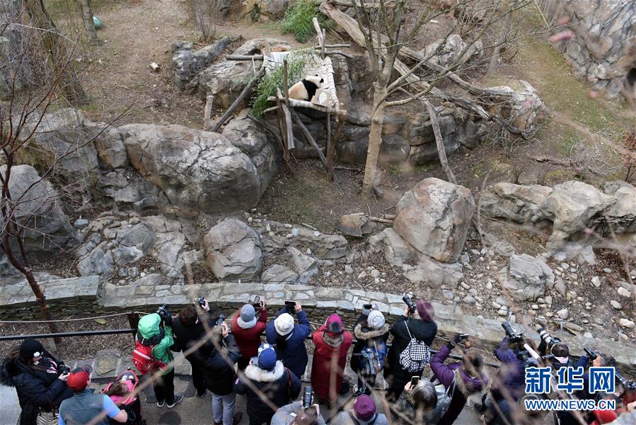 （國際&middot;圖文互動）（6）中美建交四十年 一路風雨總向前 