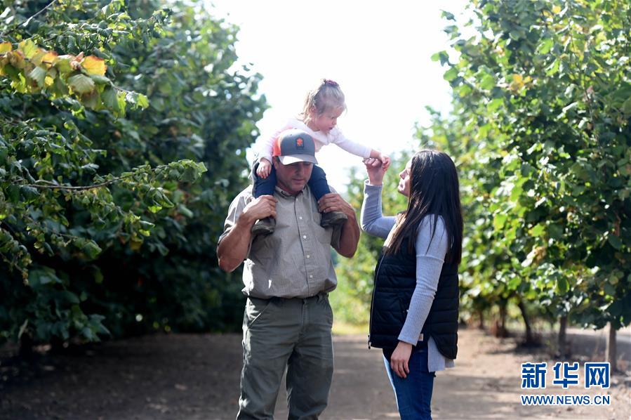 (國際·圖文互動)(2)“這些樹寄托著我們對中國市場的信心”——探訪美俄勒岡州榛子果農