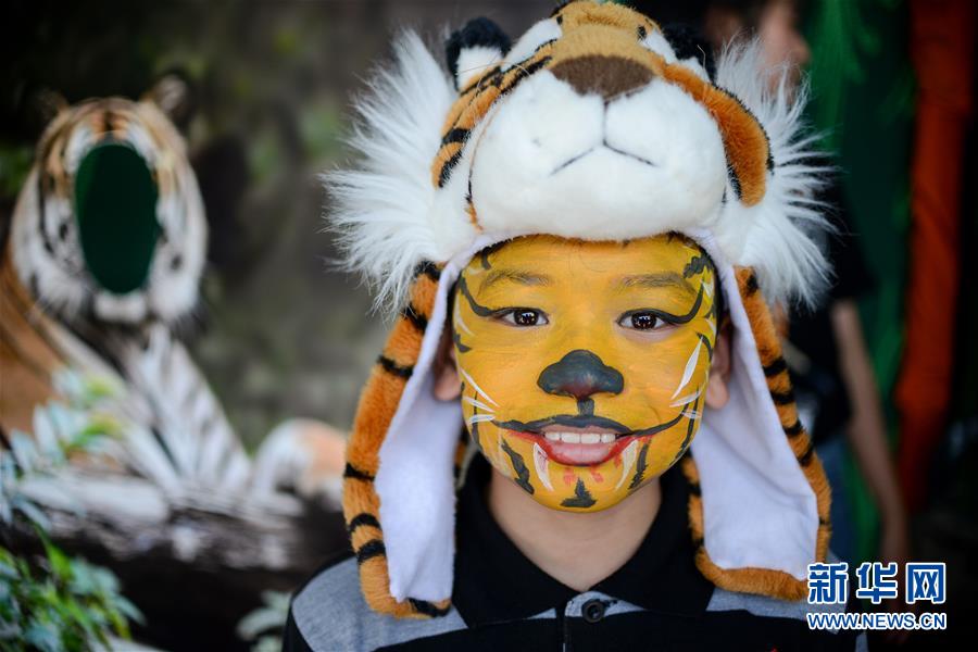 (國(guó)際)(3)馬來西亞將加強(qiáng)打擊偷獵馬來虎行為