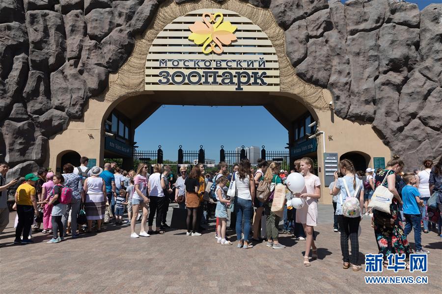 （習近平出訪配合稿&middot;圖文互動）（1）通訊：&ldquo;友誼使者&rdquo;中國大熊貓入住莫斯科新家