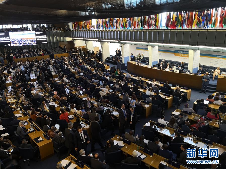 (國際)中國農業農村部副部長屈冬玉當選聯合國糧農組織總干事