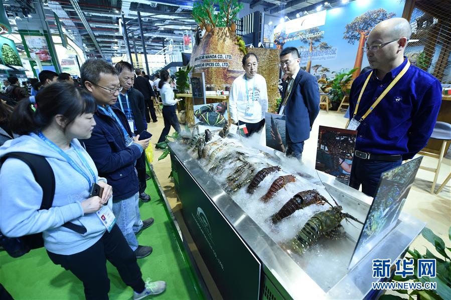 (新華全媒頭條·圖文互動(dòng))(2)中國市場(chǎng) 世界共享——進(jìn)博會(huì)勾勒共贏畫卷