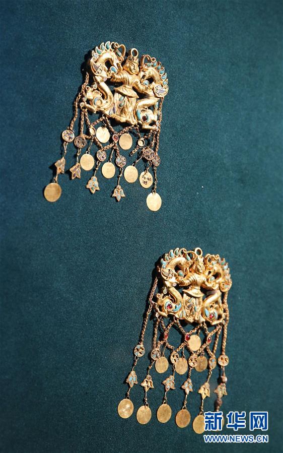 （港澳臺(tái)&middot;圖文互動(dòng)）（5）特寫：&ldquo;流浪&rdquo;到香港的阿富汗國(guó)寶