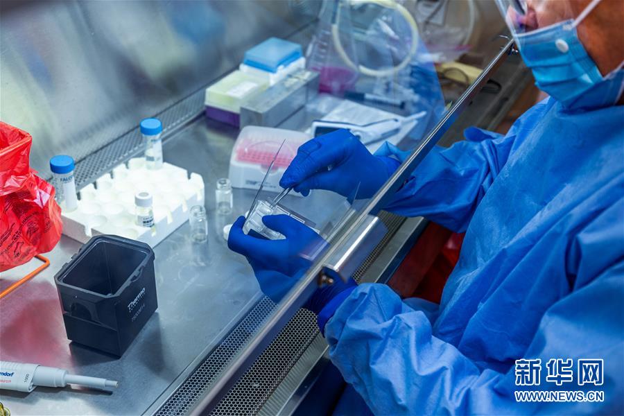 (新華全媒頭條·圖文互動)(3)為人類戰疫打造最有力的武器——全球合力加速研發新冠疫苗