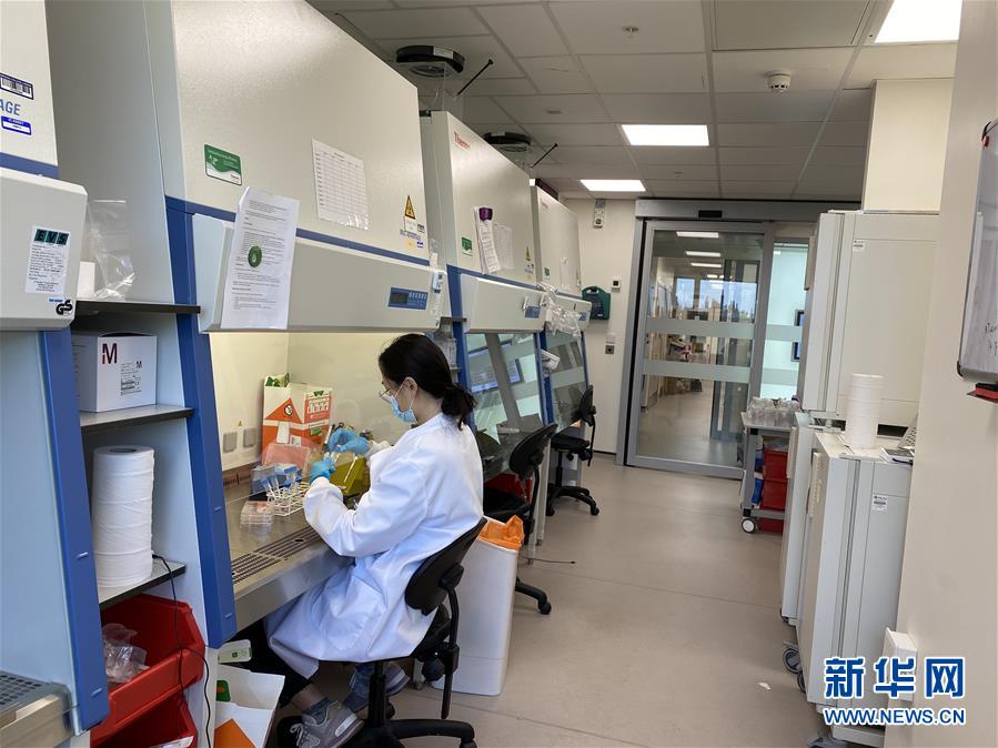 （新華全媒頭條&middot;圖文互動）（10）寰球抗疫晝夜間