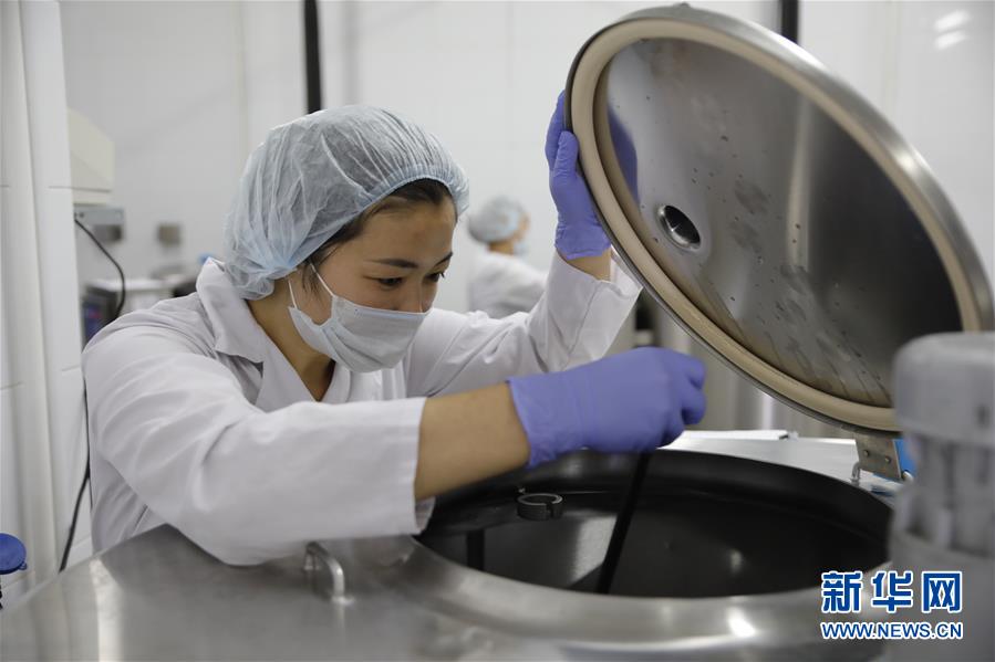 (國際·圖文互動)(5)從“先遣隊”到“正規軍”——哈薩克斯坦駱駝奶粉入華記