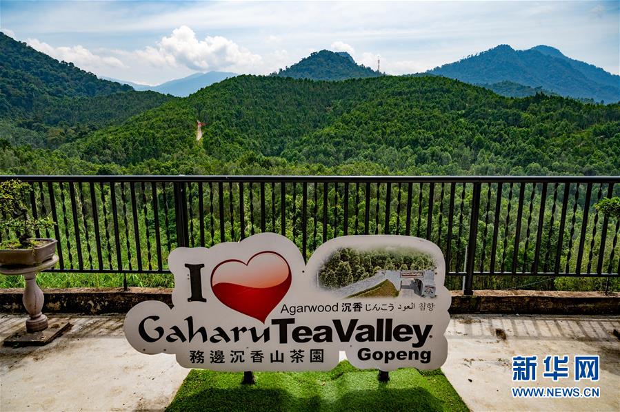 （第三屆進博會&middot;圖文互動）（11）專訪：進博會提供了一個共享中國發展機遇的平臺