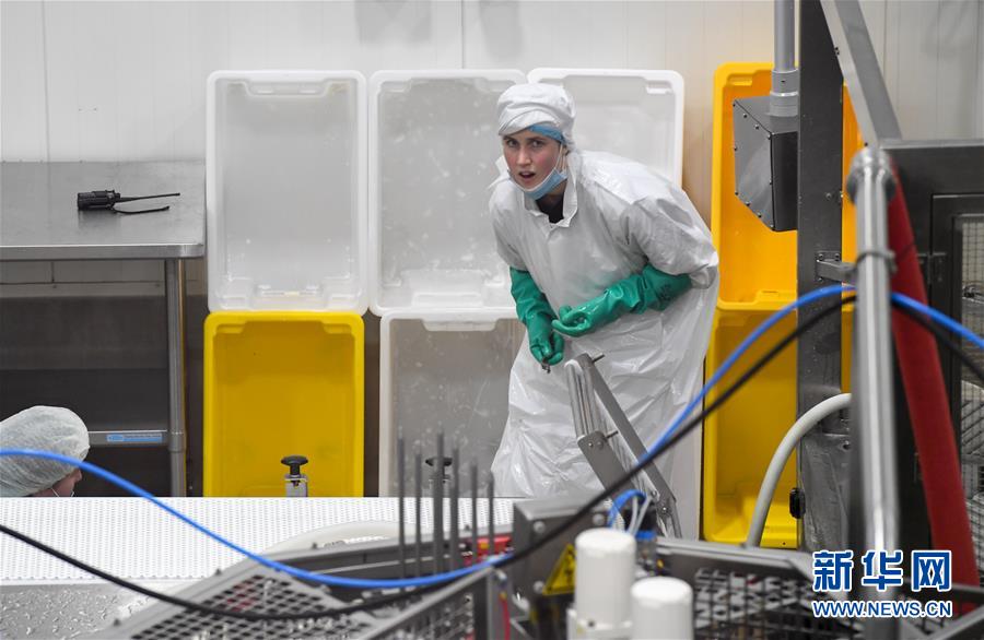 (第三屆進博會·圖文互動)(2)通訊:新西蘭的進博會味道,甜