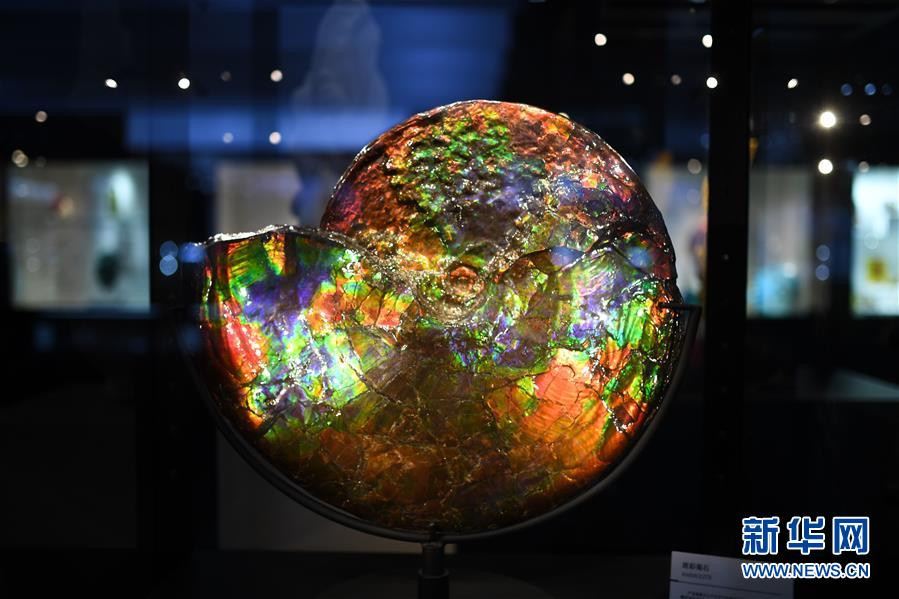 （第三屆進(jìn)博會(huì)&middot;新華視界）（1）觀展體驗(yàn)：多彩&middot;絢爛&middot;未來感