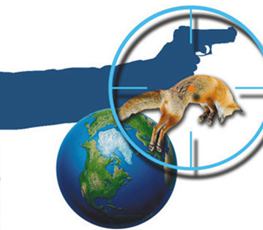 中國(guó)全球&ldquo;獵狐&rdquo;戰(zhàn)果豐碩！