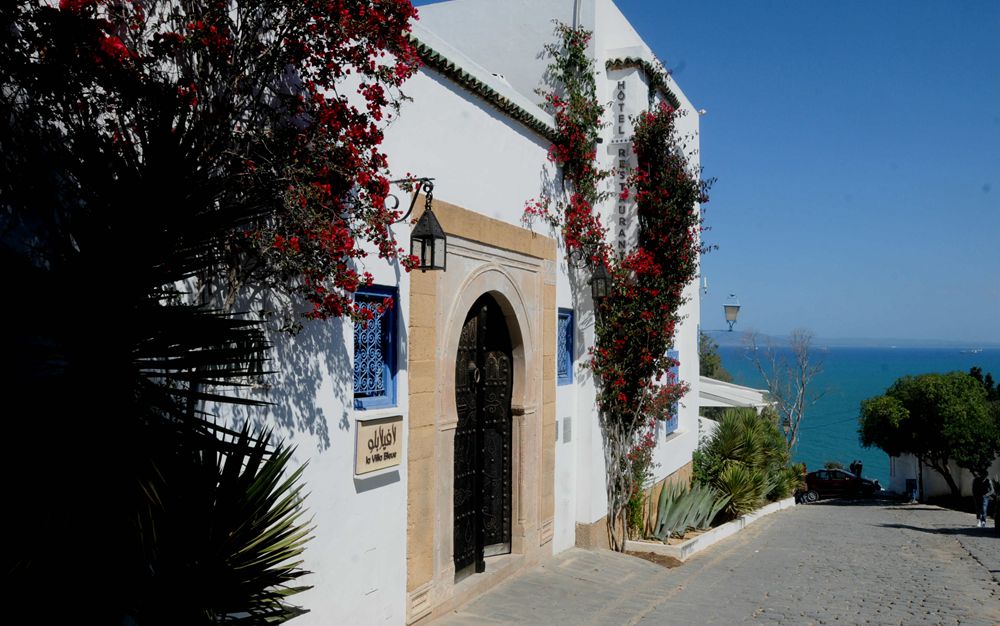 一帶一路&middot;好風光丨突尼斯的&ldquo;藍白小鎮&rdquo;