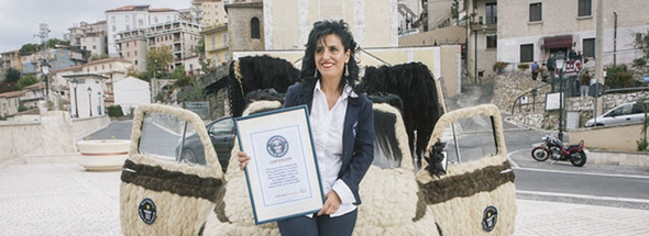 意造型師為愛車做&ldquo;發型&rdquo; 耗100公斤頭發獲吉尼斯世界紀錄稱號