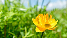 &ldquo;最美鄉村&rdquo;腦干寶力格嘎查 來自草原的明信片