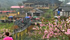 湖南湘西：趕&ldquo;桃花會&rdquo;享春光