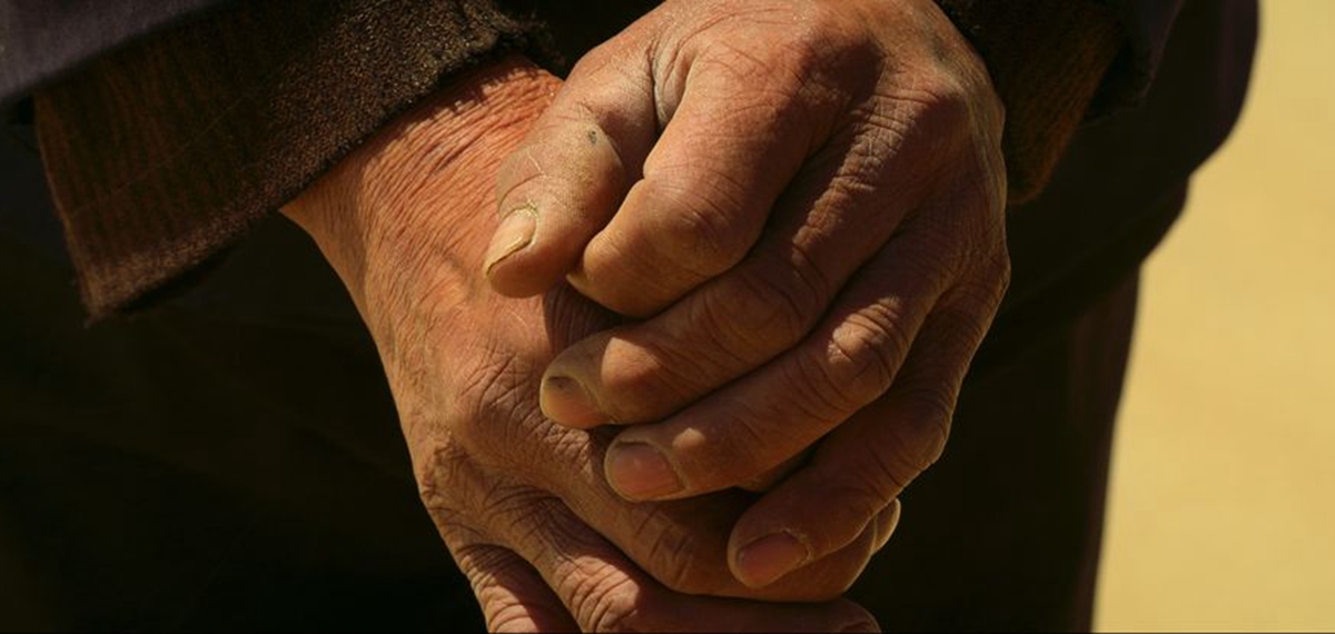 正式發(fā)布！《攜手，為人民》中國共產(chǎn)黨與世界政黨領(lǐng)導人峰會暖場片