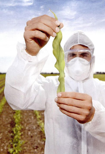 轉基因&ldquo;轉&rdquo;的是什么？