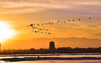 你想看的風景，這里都有